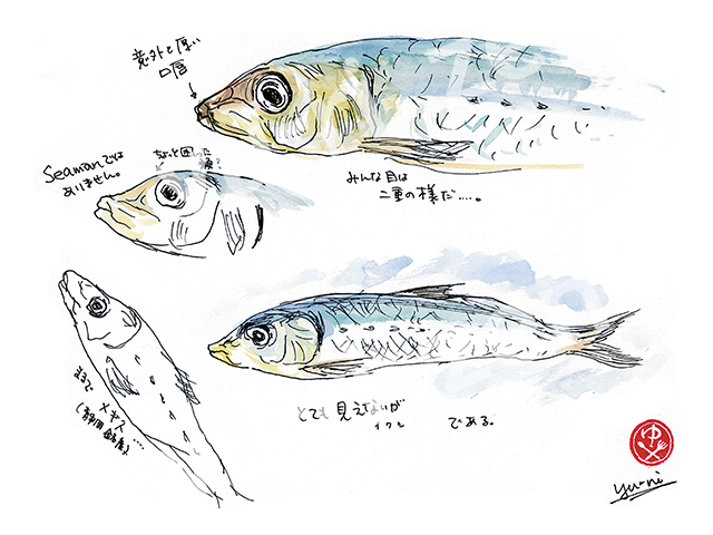 82a282ed82b582cc8ae7.png